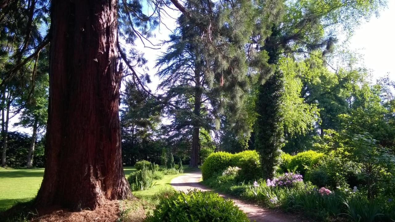 Chateau De La Vernede, La Grande Vernede Saint-Rémy-de-Chargnat エクステリア 写真
