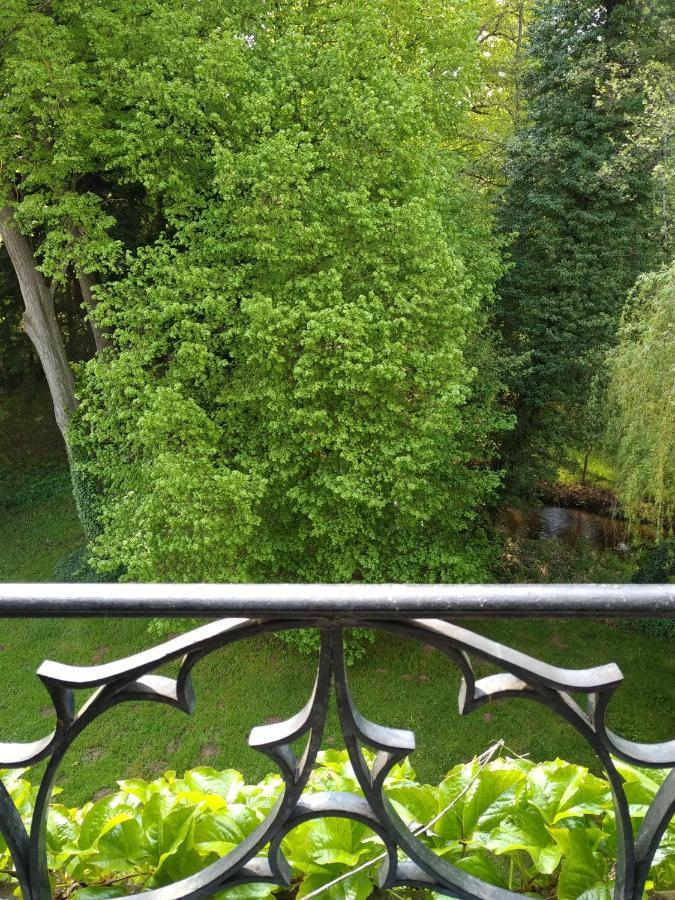 Chateau De La Vernede, La Grande Vernede Saint-Rémy-de-Chargnat エクステリア 写真