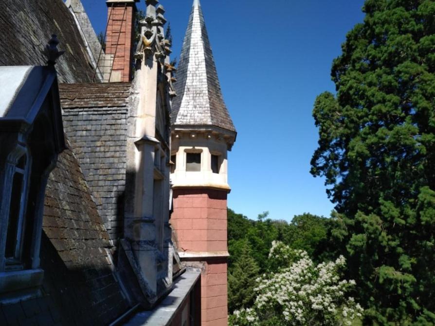 Chateau De La Vernede, La Grande Vernede Saint-Rémy-de-Chargnat エクステリア 写真