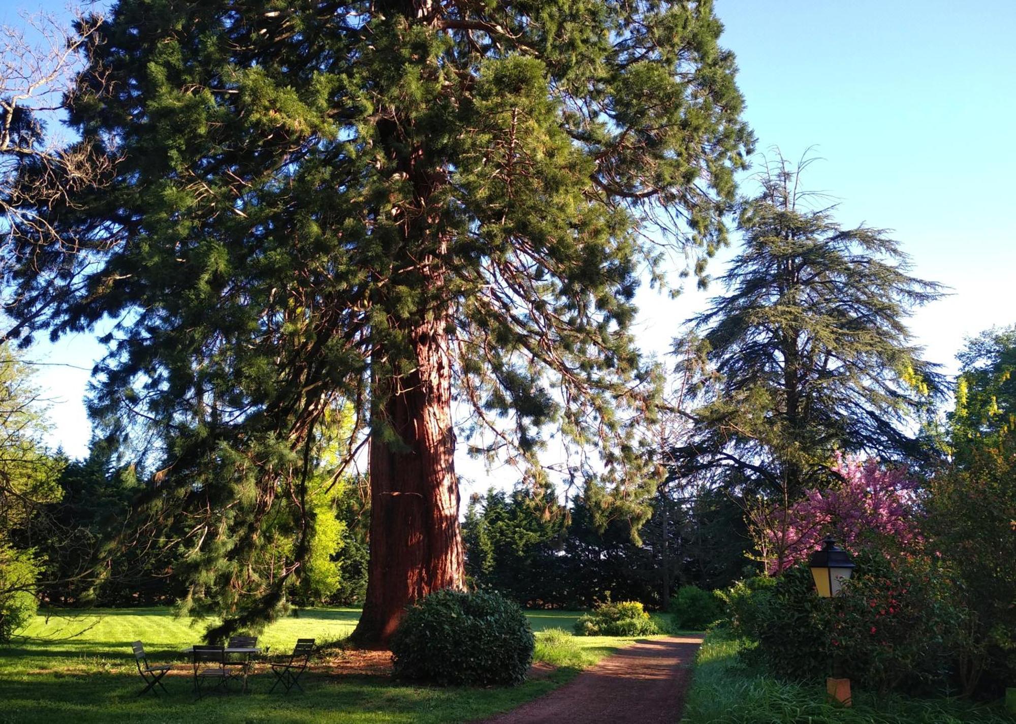 Chateau De La Vernede, La Grande Vernede Saint-Rémy-de-Chargnat エクステリア 写真